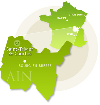 Saint Trivier De Courtes